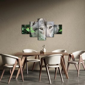 Obraz - Portret wilka (125x70 cm)