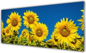 Szkło do Kuchni na Ścianę Radosne Pole Słoneczników