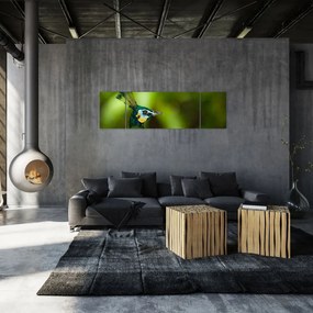 Obraz pawia (170x50 cm)