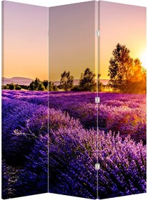 Parawan - Lawendowe pole (126x170 cm)
