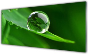 Panel Kuchenny Krople Rosy Na Liściu