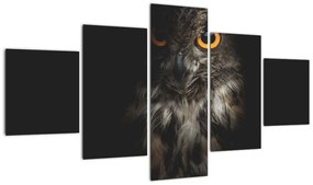Obraz sowy (125x70 cm)