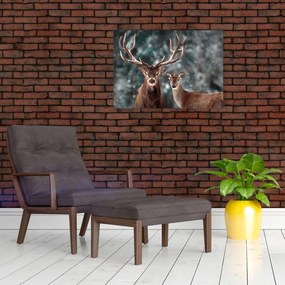 Obraz na szkle - Jeleń i łania w zaśnieżonym lesie (70x50 cm)
