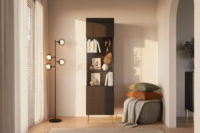 Witryna Sentia 1D do salonu - czarny / złoty