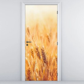 Fototapeta na drzwi - Pole ze zbożem (95x205cm)