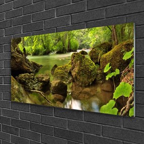 Obraz na Szkle Skała Jezioro Natura