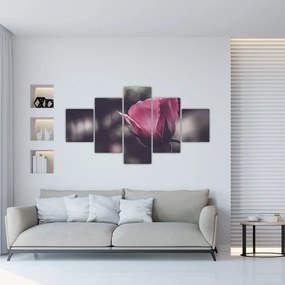 Obraz - Detal kwiatu róży (125x70 cm)