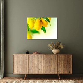 Obraz na szkle cytryn (70x50 cm)