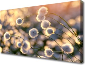 Obraz canvas Urokliwa Flora Ogrodowa