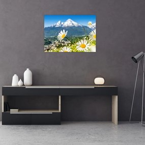 Obraz - Wiosna w Alpach (70x50 cm)