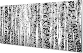 Szklany Panel Brzozy w Kontraście Czerni i Bieli