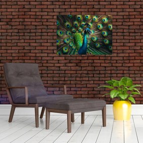Obraz – Paw (70x50 cm)