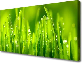 Obraz canvas Drewniany Pomost o Zmierzchu