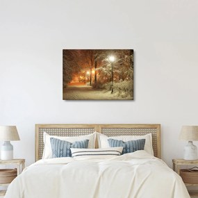Obraz - Zaśnieżony park (70x50 cm)