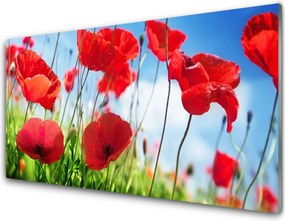 Panel Szklany Polne Maki W Rozkwicie