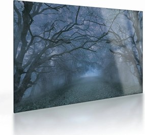 Obraz na szkle lasu we mgle (70x50 cm)