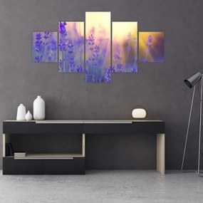Obraz - Lawenda (125x70 cm)