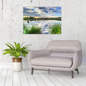 Obraz jeziora z trzcinami (70x50 cm)