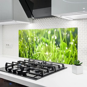 Panel nad blat kuchenny Szum Zielonych Traw