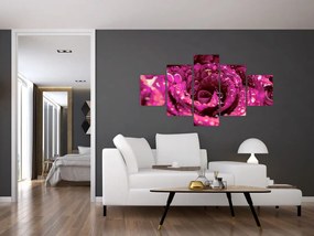 Obraz różowego kwiatu róży (125x70 cm)