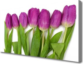 Zdjęcie na płótnie Wiosenne Pole Tulipanów