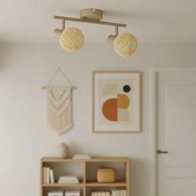 Lampa sufitowa kaszmir DEX 2xE14