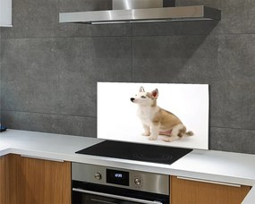 Panel szklany do Kuchni Mały Szczeniak w Pozycji Siedzącej