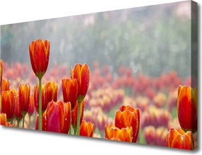 Fotoobraz na płótnie Wiosenny Bukiet Tulipanów