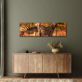 Obraz zebr (170x50 cm)