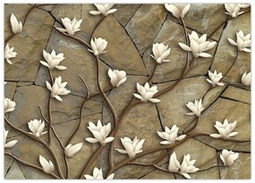 Obraz - Białe magnolie na murze kamiennym (70x50 cm)