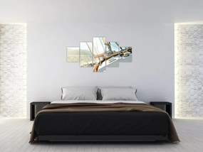 Obraz - Statek (125x70 cm)
