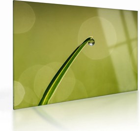 Obraz na szkle - krople wody na trawie (70x50 cm)