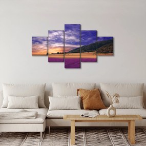 Obraz lawendowej łąki (125x70 cm)