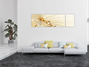 Obraz - Zdjęcie makro mniszka lekarskiego (170x50 cm)
