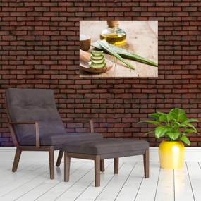 Obraz - Aloes (70x50 cm)