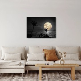 Obraz na szkle - Plaża pod pełnią księżyca w odcieniach szarości (70x50 cm)