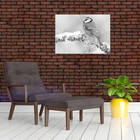 Obraz - Ptak na gałęzi (70x50 cm)