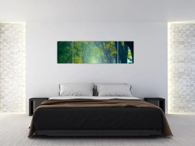 Obraz drogi wysadzanej drzewami (170x50 cm)
