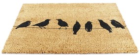 Wycieraczka z włókna kokosowego 40x60 cm Birds On a Wire – Artsy Doormats