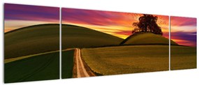Obraz pola i kolorowego nieba (170x50 cm)