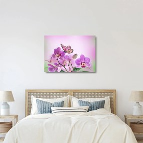 Obraz na szkle - Motyl na kwiatach orchidei, liliowy (70x50 cm)