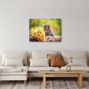 Obraz na szkle - kotek patrzący na kwiat (70x50 cm)