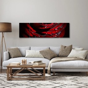 Obraz - Detal róży (170x50 cm)