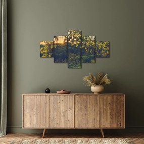 Obraz - Winnica (125x70 cm)