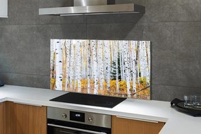 Panel szklany do Kuchni Jesień w Brzozowym Gaju