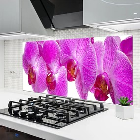 Panel Kuchenny Botaniczny Ogród Kwiatowy