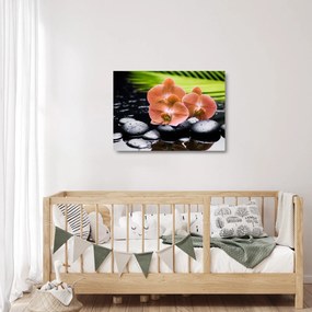 Obraz na szkle - Pomarańczowa orchidea z liśćmi palmy (70x50 cm)