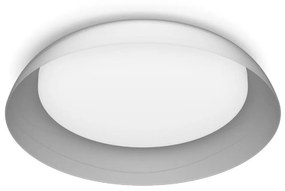 Philips - LED Plafon ściemnialny FLETA LED/10W/230V 4000K przezroczysty