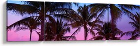 Obraz - Palmy w Miami (170x50 cm)
