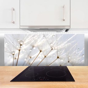 Szkło do Kuchni na Ścianę Puszysty Mniszek Lekarski